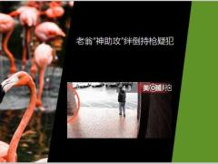 每日快乐早会20年5月18日使用12页.ppt