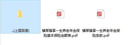 横琴臻享一生养老年金保险条款费率.zip