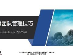 营销团队管理技巧协作基本特征34页.pptx