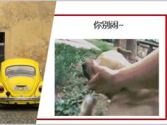 每日快乐早会20年5月19日使用12页.ppt