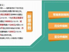 常规类别月交件趸交件保单件数计算规则10页.pptx