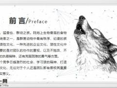 狼性文化团队关于执行思考总结25页.pptx