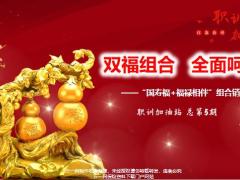 国寿福福禄相伴组合销售策略21页.pptx