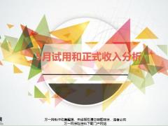 2020当前形势简析5月试用正式收入分析6月暖政回顾16页.pptx