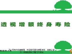陆家嘴国泰公司简介恒泰一生介绍亮点35页.pptx