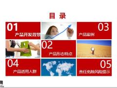 大家久安19终身寿险产品背景形态特点案例适用人群20页.pptx