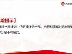 大家乐保险产品背景基本形态案例演示风险提示26页.pptx