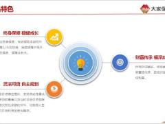 大家久久终身寿险产品特色投保规则保险责任案例演示风险提示免责条款11页.pptx