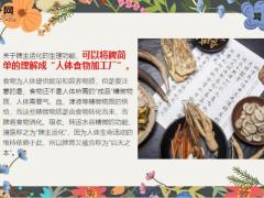 每日健康道医常说脾胃一虚百病生健补脾胃在养生过程中至关重要9页.ppt