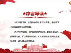 两会议保险发展趋势24页.pptx