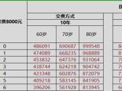 国寿福禄相伴两全保险速查表年交8000.xlsx
