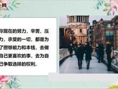 每日鸡汤请你相信你的坚持终将美好.zip