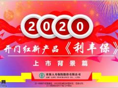 农银利丰保上市背景开发设计21页.pptx