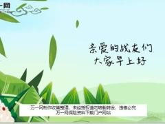 2020年端午早会模板10页.ppt