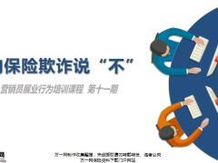 保险欺诈定义分类流程重点成因后果29页.pptx