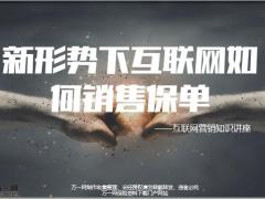 新形势下互联网如何销售保单27页.pptx