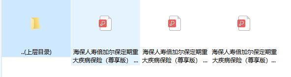 海保人寿倍加尔保定期重大疾病保险尊享版条款费率运营规则.rar