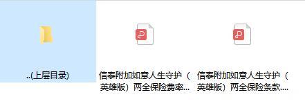 信泰附加如意人生守护英雄版两全保险条款费率.zip