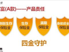 富德生命鑫财富A款产品定位要素责任优势案例53页.pptx