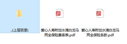 爱心人寿附加水滴白龙马两全保险条款费率.zip