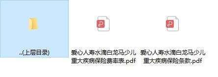 爱心人寿水滴白龙马少儿重大疾病保险条款费率.zip