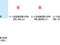 大家超惠保重大疾病保险条款费率投核保现金价值.zip