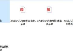 大家久久终身寿险条款费率现金价值投核保.zip