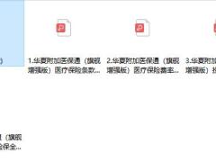 华夏附加医保通旗舰增强版医疗保险条款费率投保全核保规则.zip