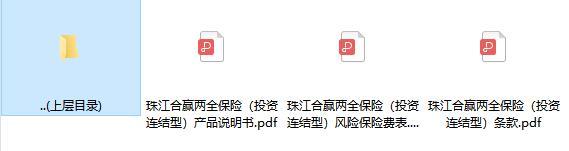 珠江合赢两全保险投资连结型条款费率说明书.zip