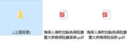 海保人寿附加豁免保险费重大疾病保险条款费率.zip