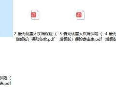 北大方正爱无忧重大疾病保险增额版保险条款费率现金价值.zip