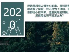 理赔时保险公司真的会把你调查个底儿掉吗18页.pptx