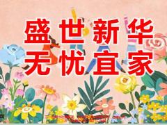 新华健康无忧宜家产品背景特色解析五指讲宜家39页.pptx