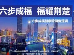 六步成福健康险销售逻辑国寿38页.pptx