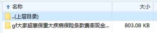 大家超惠保重大疾病保险条款费率现金价值.zip