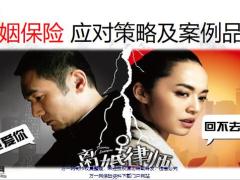 婚姻保险应对策略及案例品鉴18页.pptx
