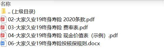 大家久安19终身寿险2020条款费率现金价值投核保.zip