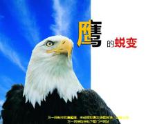 鹰的蜕变含备注21页.pptx