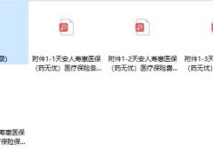 天安人寿惠医保药无忧医疗保险条款费率规则.zip