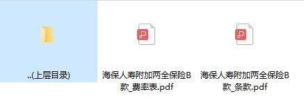 海保人寿附加两全保险B款条款费率.zip