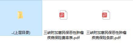 三峡附加惠民保恶性肿瘤疾病保险条款费率.zip