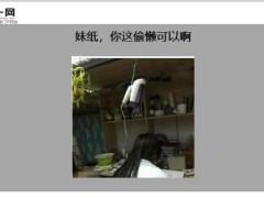 每日快乐早会20年6月8日使用12页.ppt
