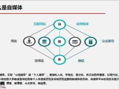自媒体宣传信息风险与应对29页.pptx
