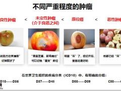 全面解读乐享健康良肿切除保障25页.pptx