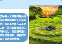 每日鸡汤除了一直努力别无捷径.zip