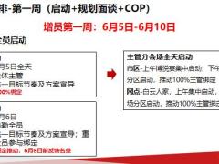 七八连动人力规划目标节奏推动安排资源投入39页.pptx