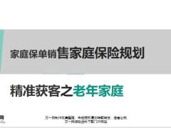 老年家庭特征需求规划方法典型案例分析20页.pptx