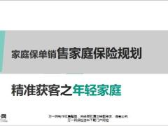 家庭保险规划之年轻家庭特征需求规划方法案例解析29页.pptx