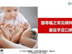国寿福之常见病种介绍重症手足口病10页.pptx