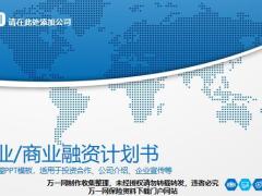 蓝灰白框架完整创业商业融资计划书PPT模板38页.pptx